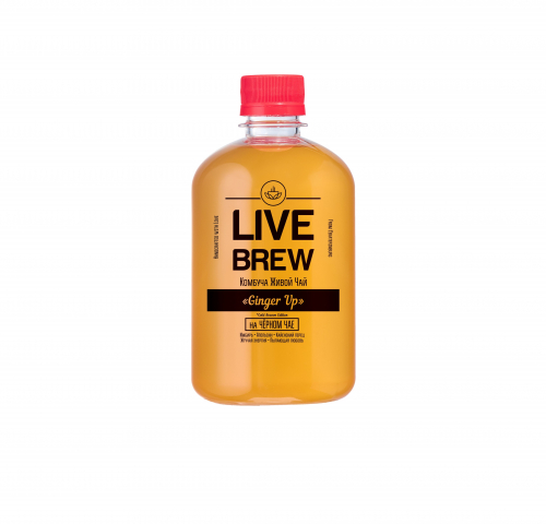 Комбуча Ginger Up 500мл (Live Brew)